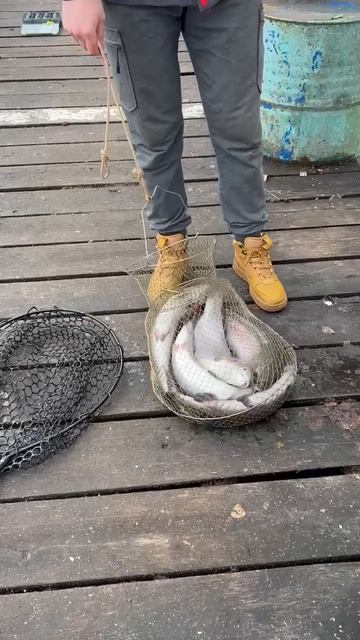 17db732494d6089756760fe7dc47c1e4