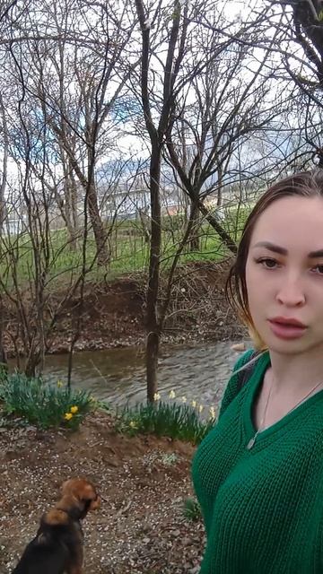 0b84bfeb293afd576c373641bba5bd88