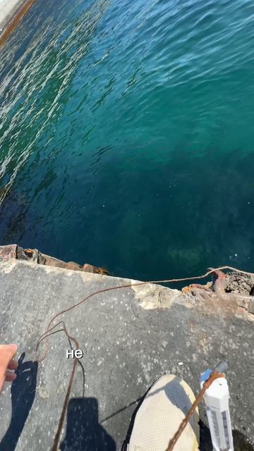 Крым сегодня, температура морской воды в Черном море. Поселок Парковое #крымсегодня #крым #крым2026