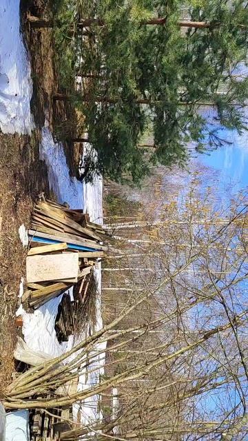 З/у с к.н. 50:28:0090101:710 расположенный по адресу: Московская область, г. Домодедово, д. Борисово