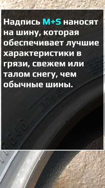 Triangle TR646 летняя резина на ГАЗель #воколесо