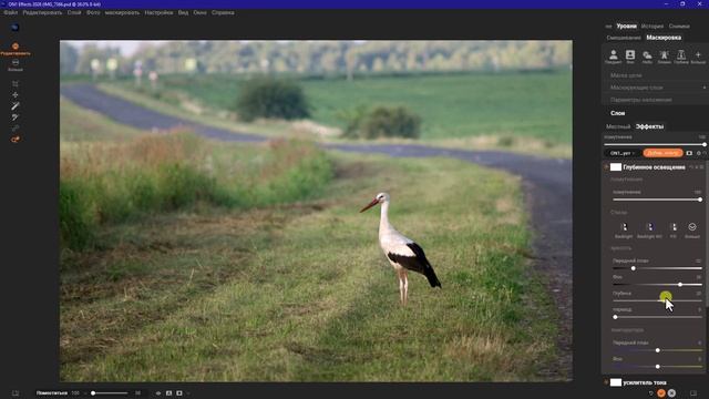 Как быстро обработать фото и привлечь внимание к главному объекту съемки в программе 