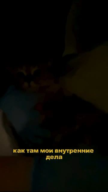 А если ваш питомец уже сейчас скрывает проблему, о которой вы даже не догадываетесь? 🐾