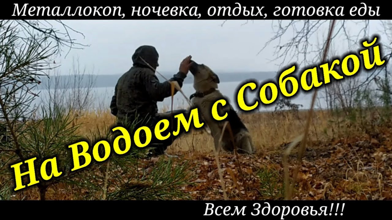 МЕТАЛЛОКОП!!! Выезд На Природу. Взял Собаку. Погода Гнала Домой.А Нам Пофиг