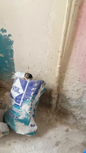 6544c7882b38fad6977e60ada0c70710