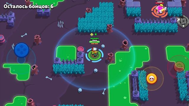 2c8c65b4c928e3f753b6d394425100d0