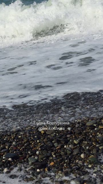 Сочи. Чёрное море. Неожиданная концовка