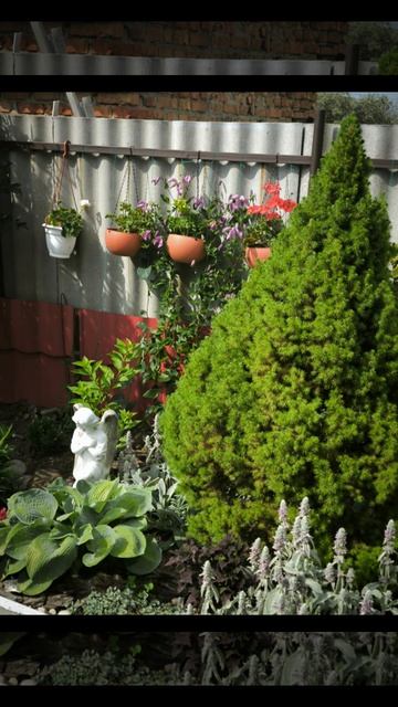 Добро пожаловать на канал Дом цветов