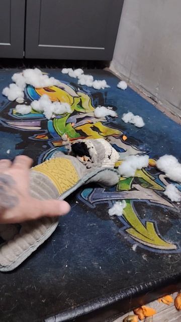 Хаски Джек расправился с игрушкой