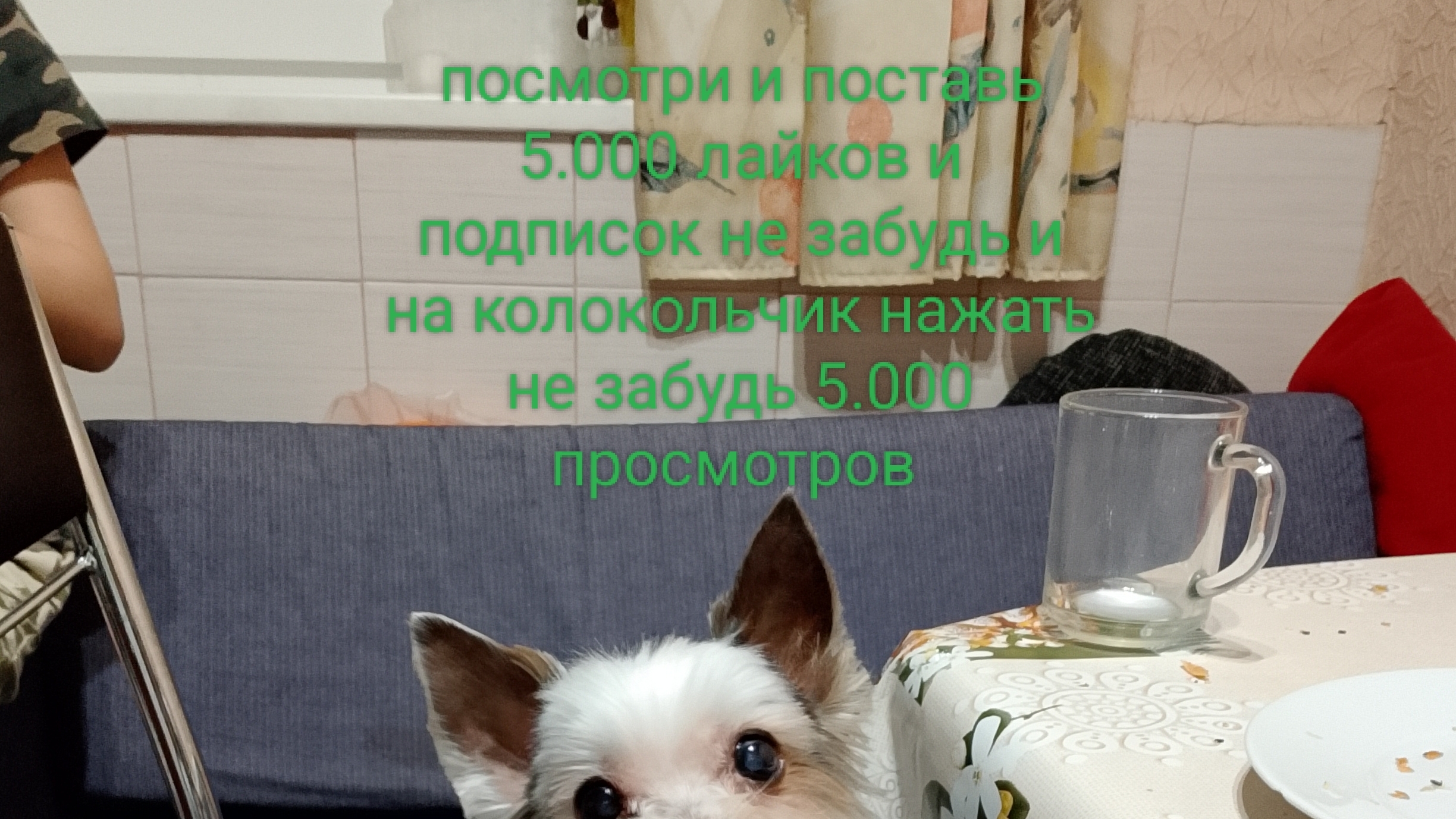 B76d061b6471dbeeca2ee27afb1b3c35