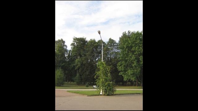 8ca9f33ab9287b91afdbc60c8a393ed7