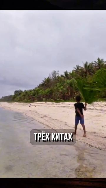 Где быстро получить гражданство