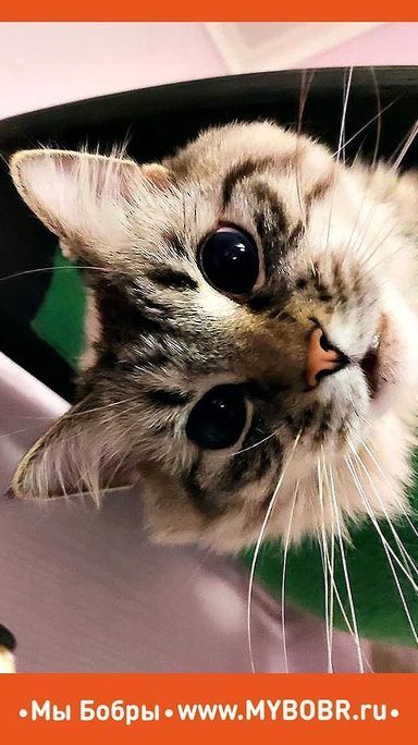 Когда жизнь удалась!😍