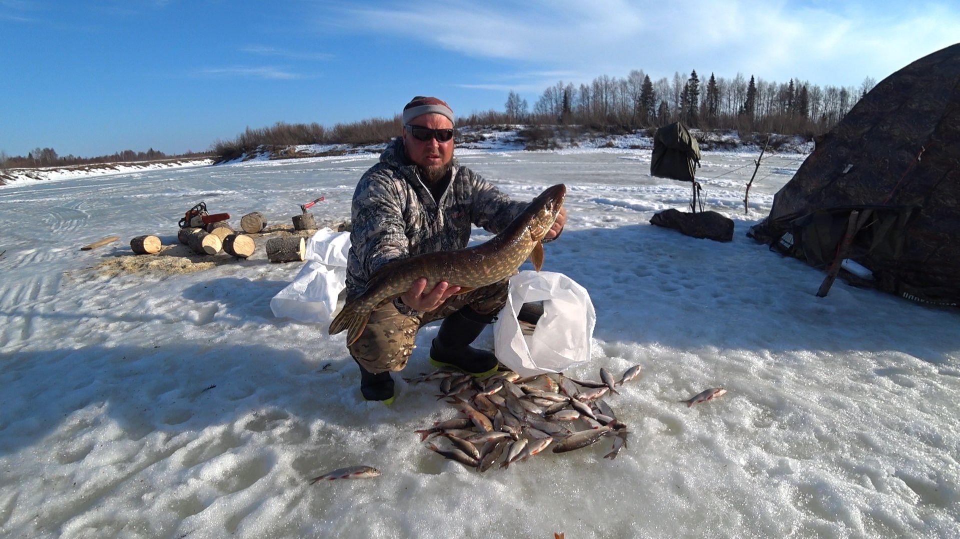 ПАРНИ ДРЫХНУТ, А Я ТАСКАЮ! КРУПНАЯ СОРОГА И ЯЗЬ НА УДОЧКУ \ ЖИВЁМ В ПАЛАТКЕ НА СЕВЕРЕ часть 5.