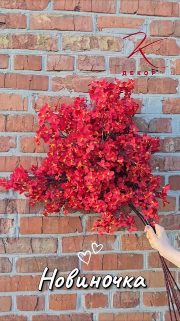 Ветка цветущая яблоня промо