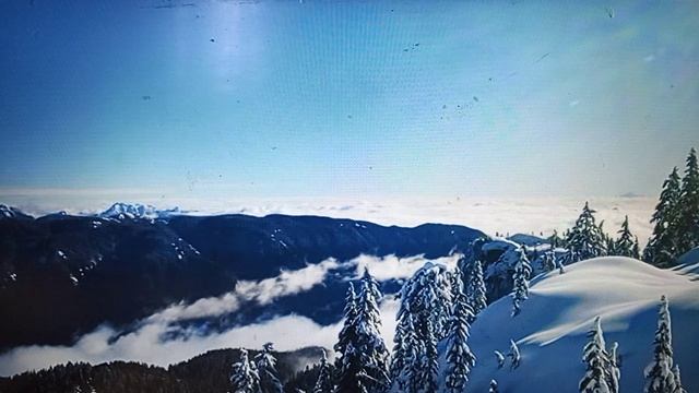 Рыма Чек - как всегда без имени