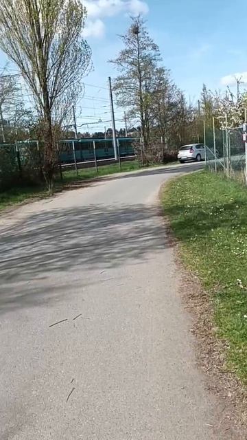 Дача во Франкфурте _06.04.2026