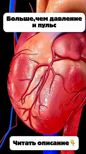 Afb1cbd1a8d0a1d84cdaf36ff7d9407c