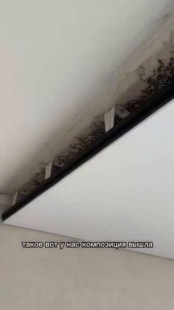 Наш технолог Дмитрий делает мини обзор объекта со встроенными черными/белыми карнизами для штор, ...