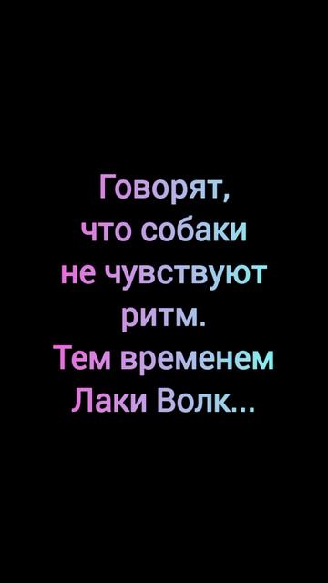 Говорят что собаки не чувствуют ритм