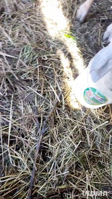 Вот так сюрприз! Я в шоке🥹