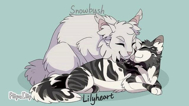 🍋 Пары, которые оказались родственниками!🍋