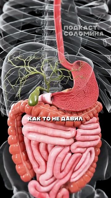 Самый коварный рак в теле человека | Решетун | Полный выпуск на канале «Глеб Соломин»