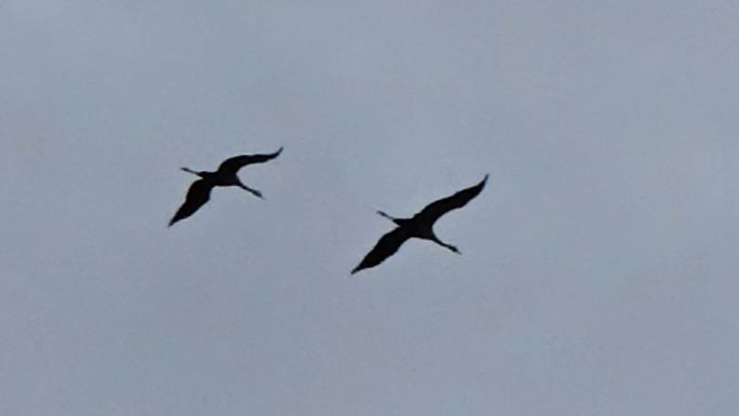 В дальнем лесу, рюкзак с трофеями и оправдавшийся прогноз