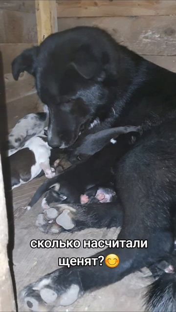 апрель начался с пополнения 😍