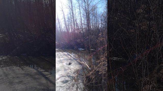 ✔Бобровая нора🌆✔