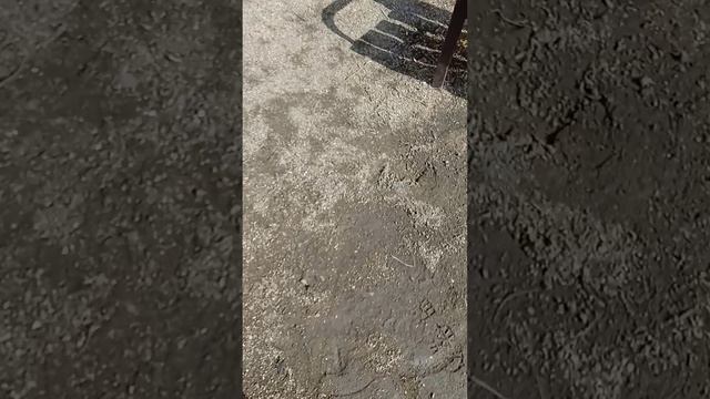 Это видео было снято  26 марта 2026 года и я  просто забыл его выложить 😅😅🥺🥺