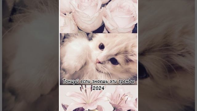 Танцуй если знаешь эти тренды 2024