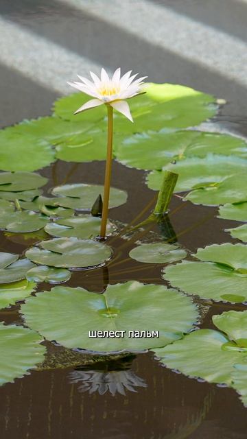 Patina Maldives Fari Islands