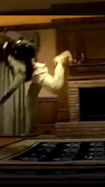 Дружно работают