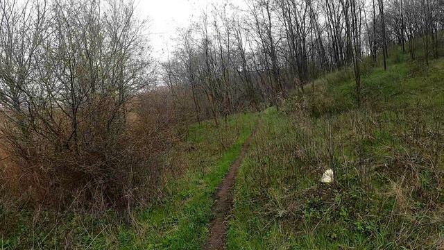 Поход в балку, местный водопад, весенние прогулки!