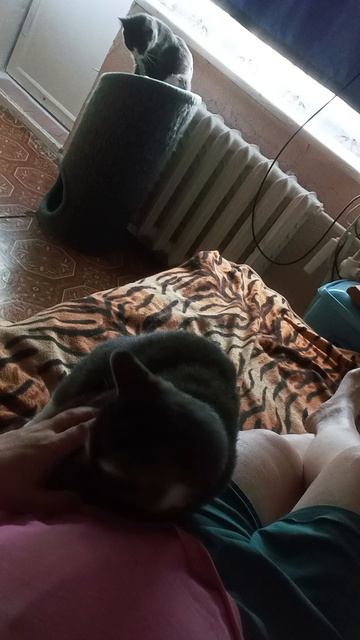 Не здоровые гормоны 👀