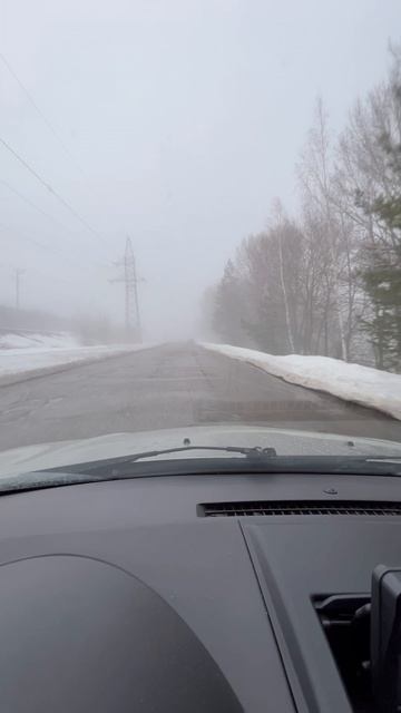 Утренний туман на дороге