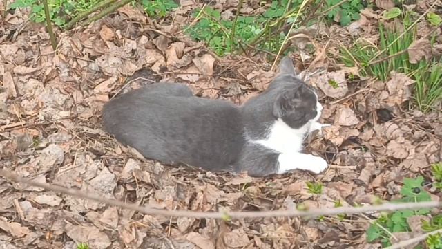 Нашла мягкое местечко🐈⬛