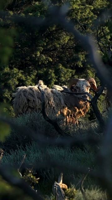 Dbd5747a1622fcdf22efe3e3ce32652d