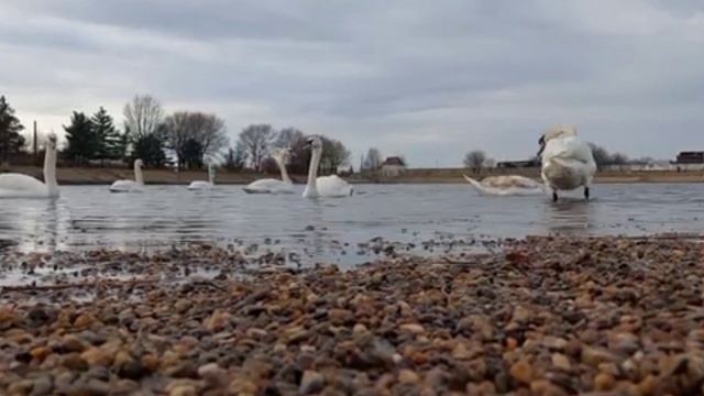 392cd744c3549ba2611d9c2f554d9b12