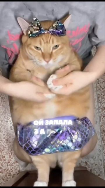 #майлз #ойзапала #запала