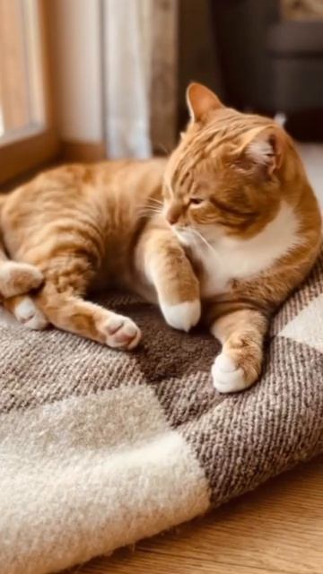 Мастер-класс по счастливому ничегонеделанию