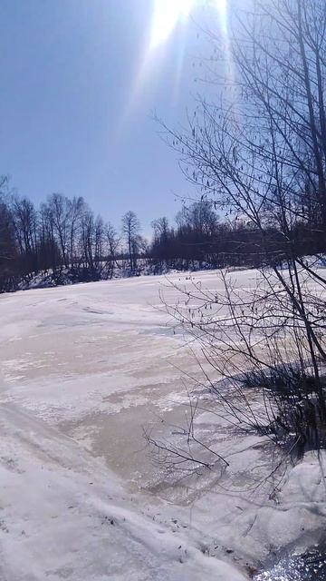 ✔Колхозный пруд🌊 весной💧✔