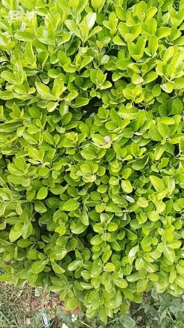 #algerie #жизньвалжире #setif