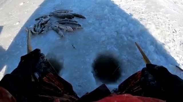 Лучшая Зимняя Рыбалка 2026 Очень Много Щуки. Лучший Поклёв на Щуку 2026 Русская Рыбалка Онлайн