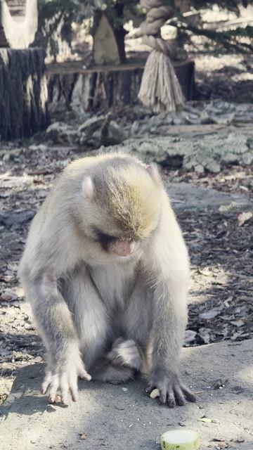 С пола вкуснее? Нет, с него чище! 😁