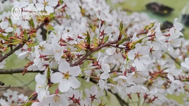 Ba8d11da5edb5f5a33d478fffcc01e55