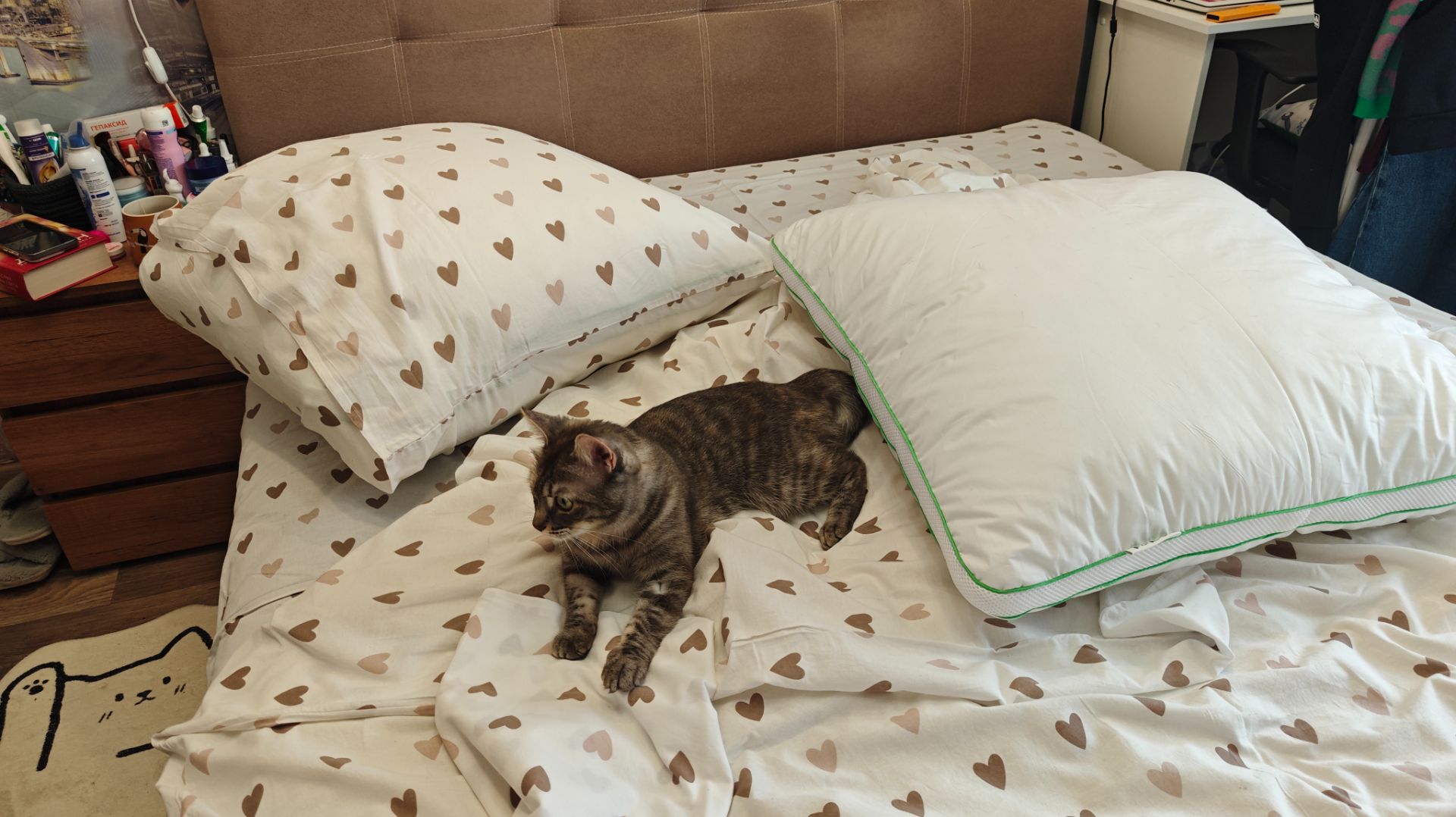 Подушечная эпопея завершилась вместе с For Ergo! 🙌