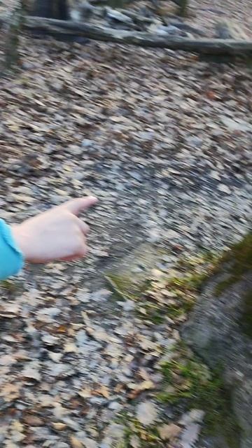 A224593cb1a529130309cce90bf21c87