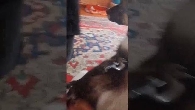 ~всякая всячина~